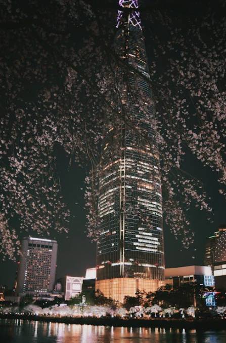 한국 및 해외 비상계엄 선포 사례와 관련 시사용어 및 법적 절차 설명