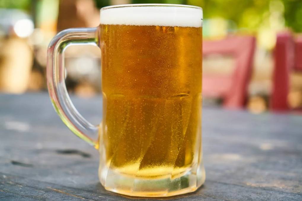 소주 1병 = 맥주 몇 병? 정확한 알코올 비교와 건강 영향 총정리